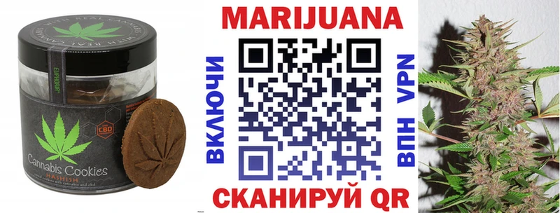 Купить где  Енисейск  Canna-Cookies конопля 