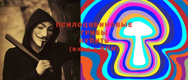 мет Инта