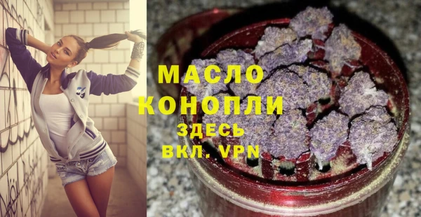 мет Инта