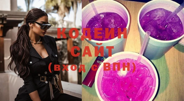 мет Инта