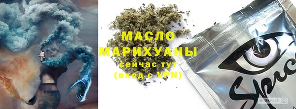 мет Инта