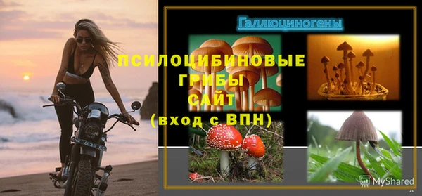 мет Инта